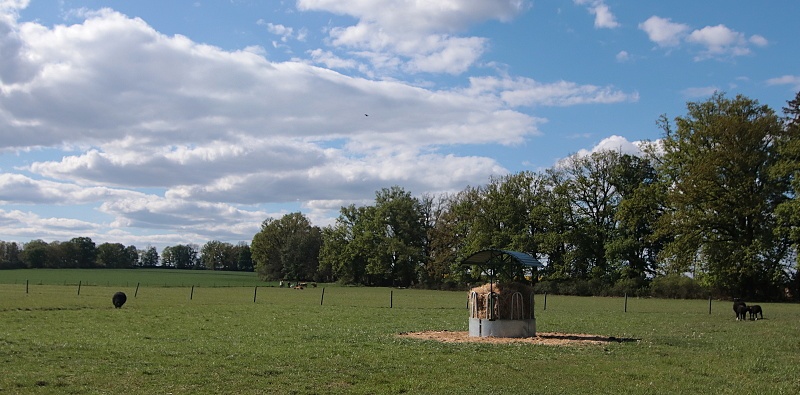 200615_24