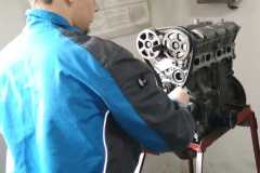 IMG-20250609-WA0012