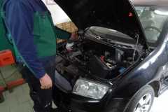 IMG-20250609-WA0020