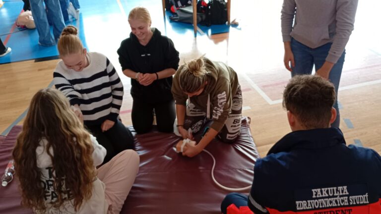 KURZY PRVNÍ POMOCI PRO ŽÁKY OBORU PŘEDŠKOLNÍ A MIMOŠKOLNÍ PEDAGOGIKA