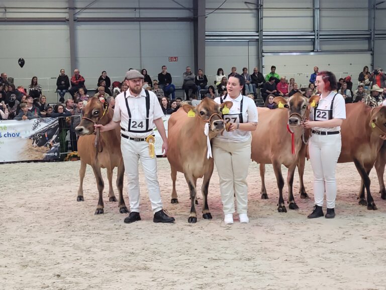 NÁRODNÍ ŠAMPIONÁT PLEMEN SKOTU V LYSÉ NAD LABEM
