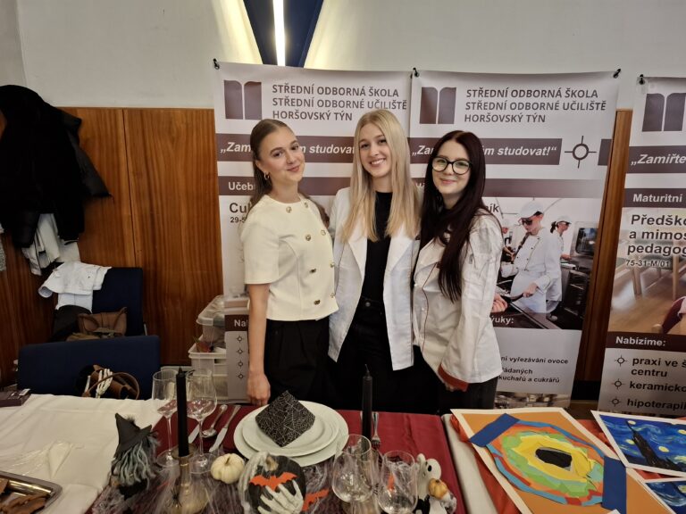 OD VZDĚLÁNÍ K ZAMĚSTNÁNÍ