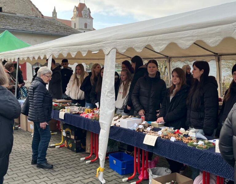 ŠKOLNÍ VÁNOČNÍ JARMARK 2025